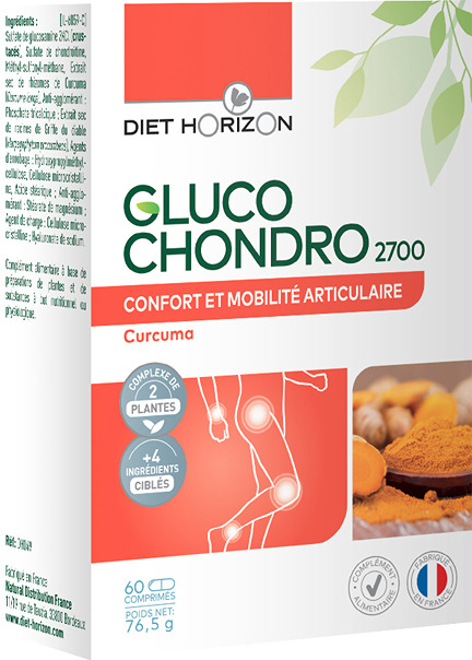 GLUCO-CHONDRO-2700 x 60 COMPRIMES DIETHORIZON
